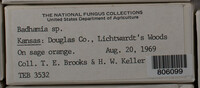 Image Associated With the Occurence